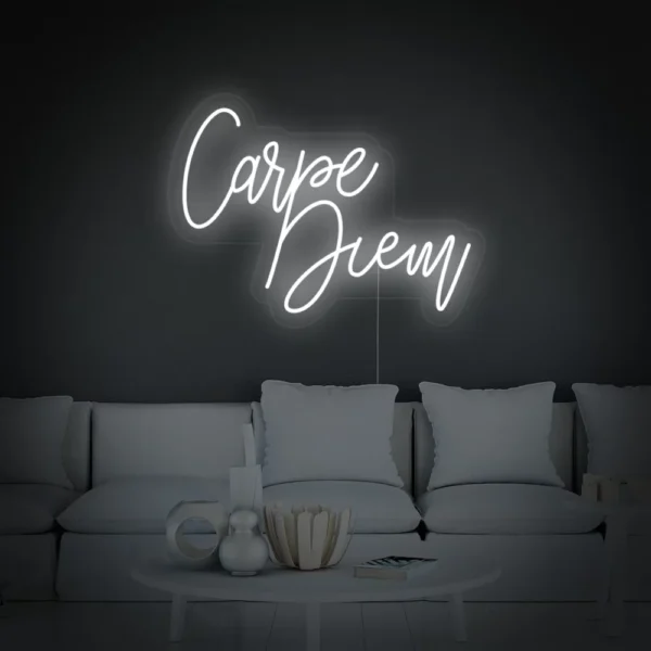 Carpe Diem Latin Means Seize the Day Neon Sign